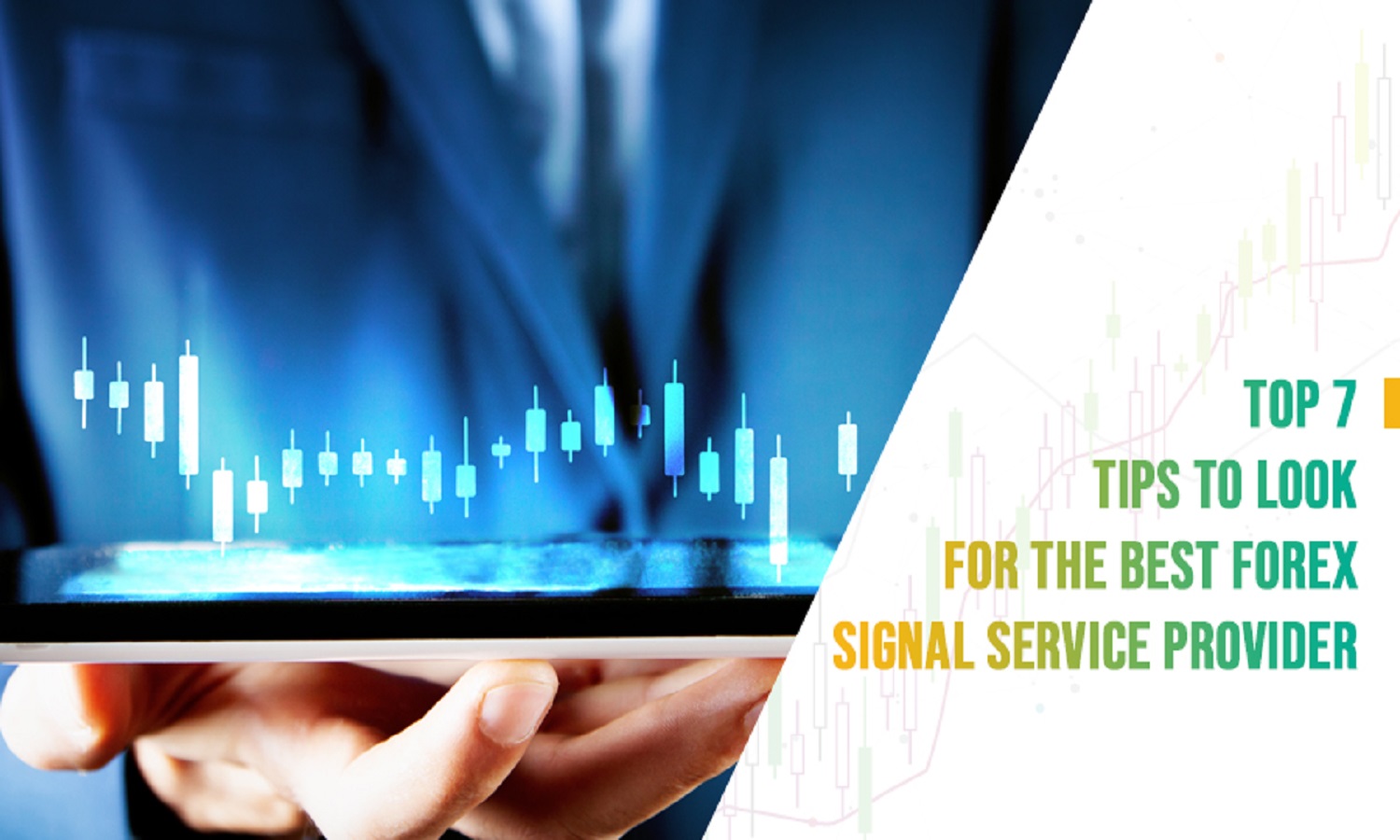 Top 7 Tips to Look For the Best Forex Signal Service Provider