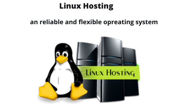 What is Linux shared hosting