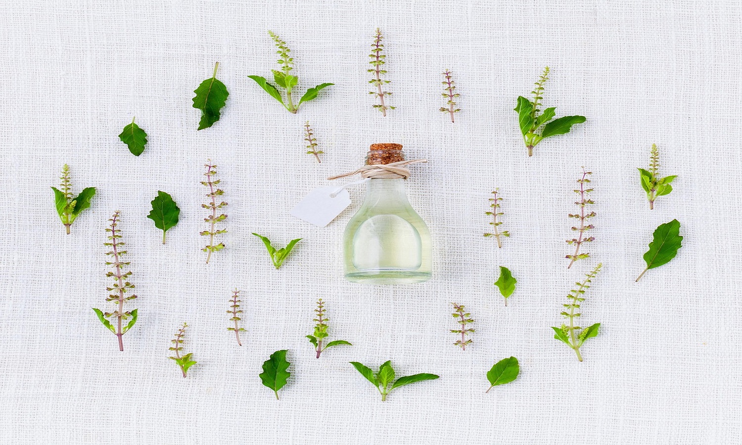 Relaxation through Essential Oil Massage Therapy: Enhancing Well-being